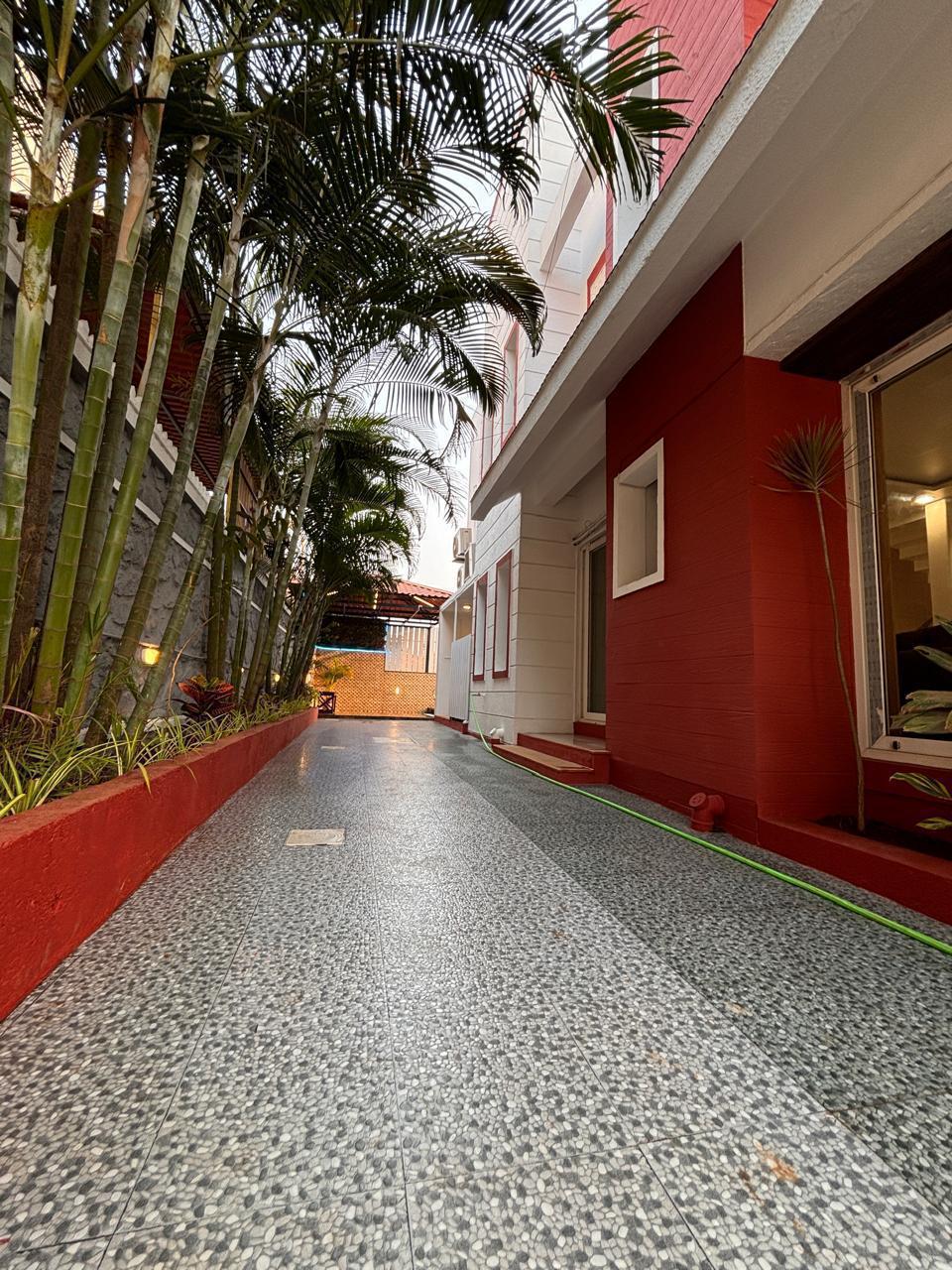 Palm-lined villa pathway